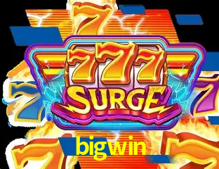 Sistemas de Segurança bigwin