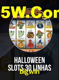 Programa VIP bigwin