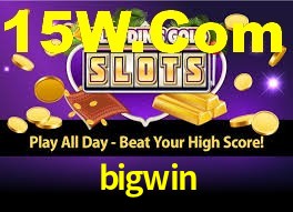 bigwin login